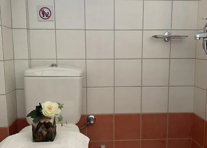 Daire Foresteva Lixouri